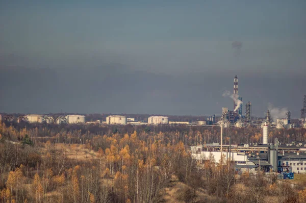 Заводи в індустріальній зоні серед лісу — стокове фото