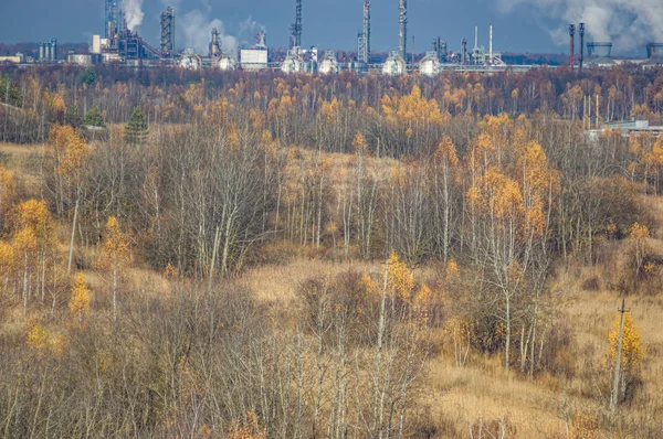 Factories in an industrial area among the forest — Stock Photo, Image