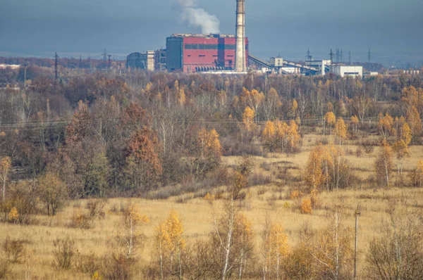 Заводи в індустріальній зоні серед лісу — стокове фото