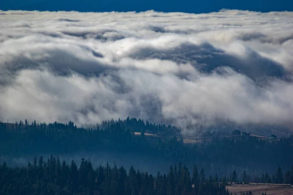 La vista desde las alturas de las montañas y bosques cubiertos de niebla —  Fotos de Stock