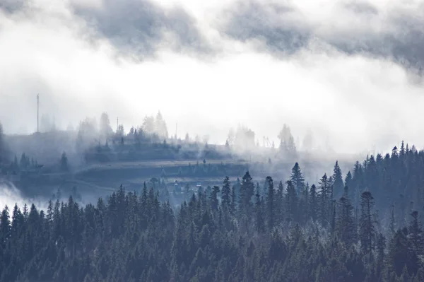 The view from the heights of the mountains and forests covered by fog — Stockfoto