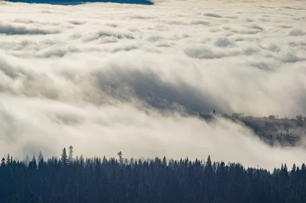 A vista das alturas das montanhas e florestas cobertas de neblina — Fotografia de Stock
