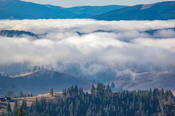 La vista desde las alturas de las montañas y bosques cubiertos de niebla — Foto de Stock