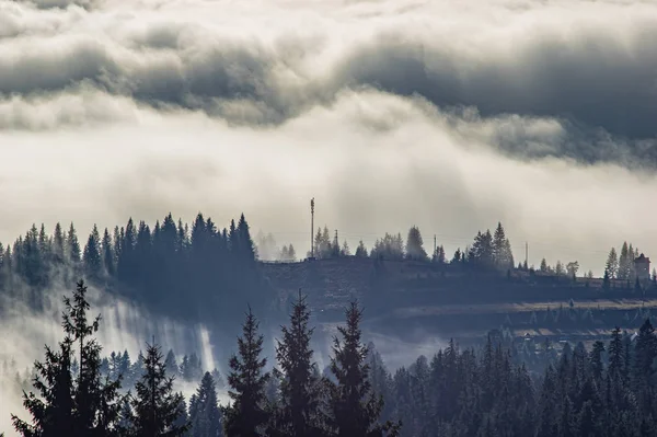 La vista desde las alturas de las montañas y bosques cubiertos de niebla —  Fotos de Stock