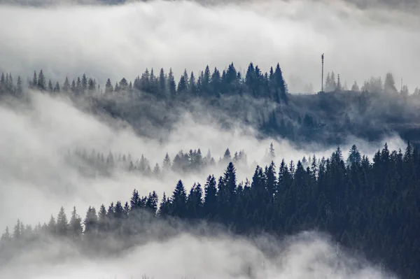 La vista desde las alturas de las montañas y bosques cubiertos de niebla — Foto de Stock