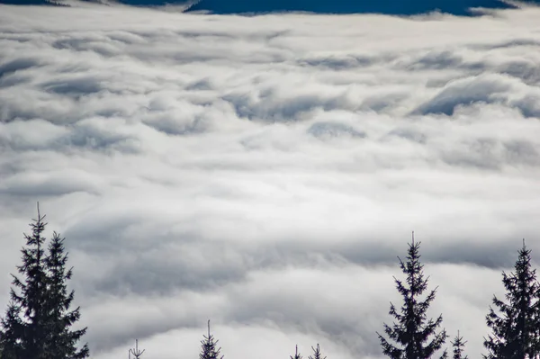 Montanhas Cárpatas nas ondas de nevoeiro — Fotografia de Stock