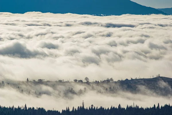 Montañas Cárpatas en las olas de niebla — Foto de Stock