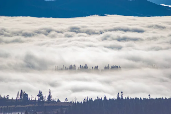 Montañas Cárpatas en las olas de niebla — Foto de Stock