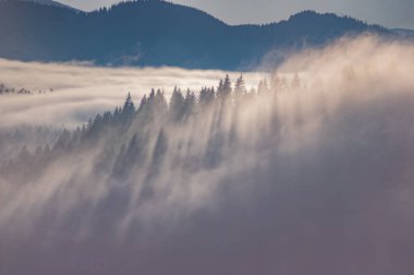 Sis dalgalarında Karpat Dağları