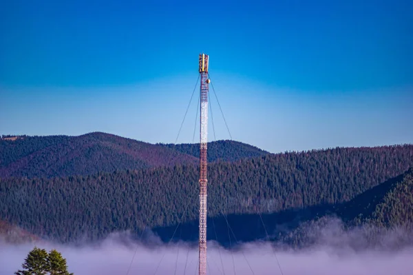 La nebbia avvolge la foresta — Foto Stock