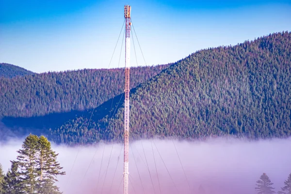 La nebbia avvolge la foresta — Foto Stock