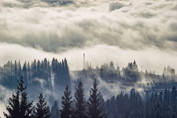 Montañas Cárpatas en las olas de niebla — Foto de Stock