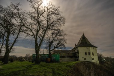 Geceleyin büyük yaşlı bir ağaç Ay 'ın arka planına karşı