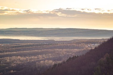 Sonbaharda Karpatlar 'da ağaçlı tepeler
