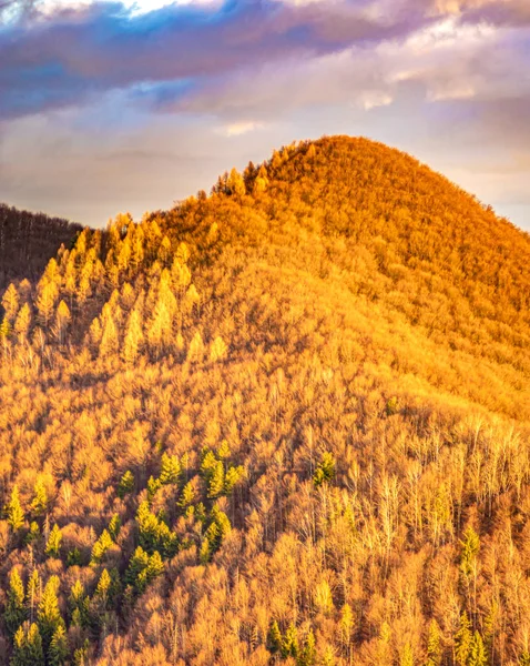 Bewaldete Hügel im Herbst in den Karpaten — Stockfoto