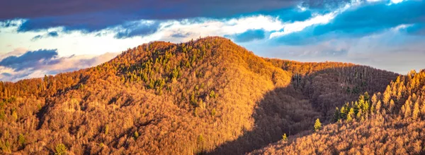 Лісисті пагорби восени на Карпатах — стокове фото