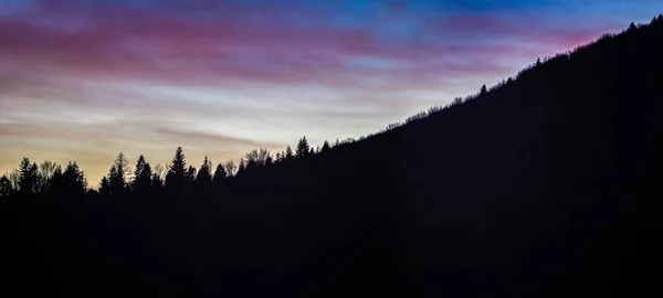 Силуети дерев на фоні заходу сонця — стокове фото