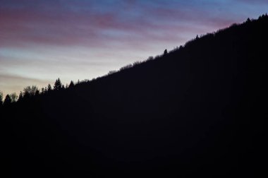 Gün batımına karşı ağaçların siluetleri