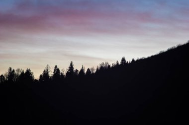 Gün batımına karşı ağaçların siluetleri