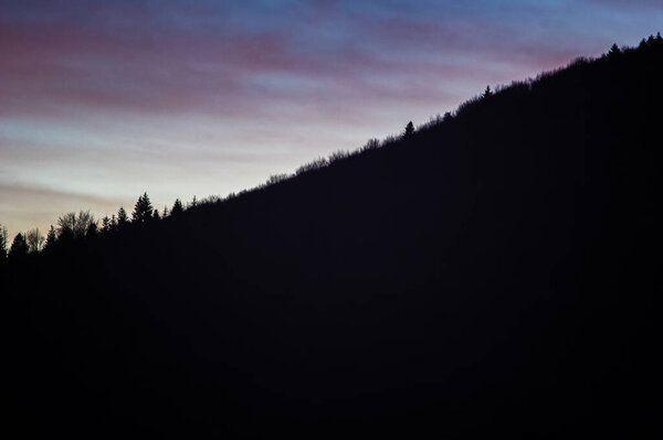 Silhouettes of trees against the sunset sky