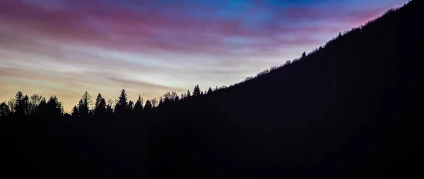 Silhouettes d'arbres contre le ciel couchant — Photo