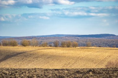 Sonbahar günü sürülen tarla