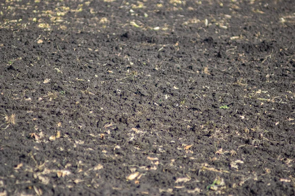 Geploegd veld in de herfstdag — Stockfoto