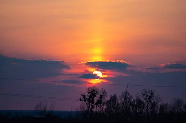 Sunset on the background of trees — Stock Photo, Image