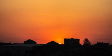 Gün batımı arka planında ağaç dallarının siluetleri