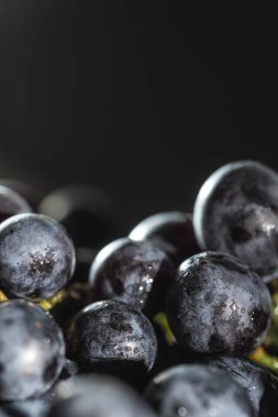 tatil için yüksek kaliteli şarap için zarif üzüm