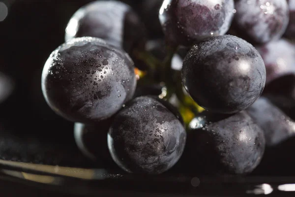 Bayas de uvas azules de alta calidad con rocío — Foto de Stock