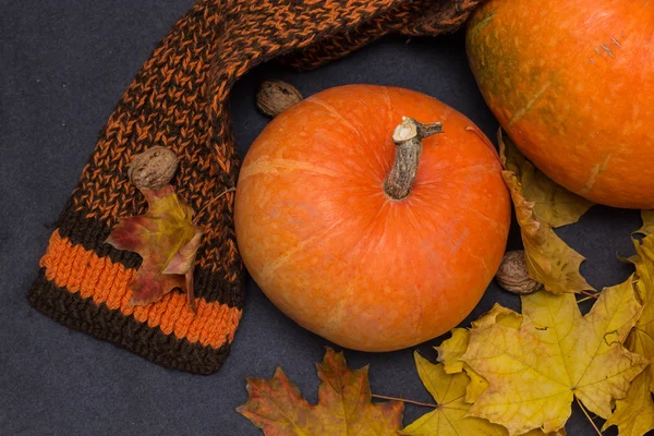 Autumn leaves, warm scarf and pumpkin. — Stock Photo, Image
