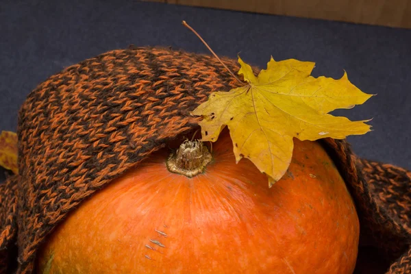 Autumn leaves, warm scarf and pumpkin. Stock Image