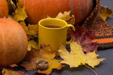 Kabaklar, eşarp sıcak çay ile ahşap tablo