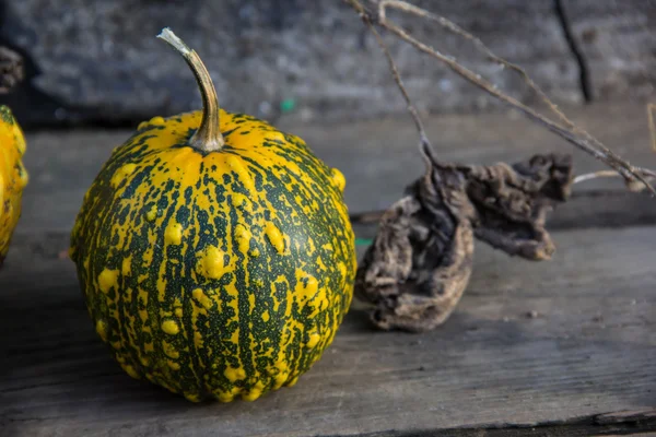 Stillleben mit Herbstkürbissen auf einem alten Holztisch — Stockfoto