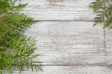 Mazı (bitki) dal kopya alanı ile ahşap arka plan üzerinde