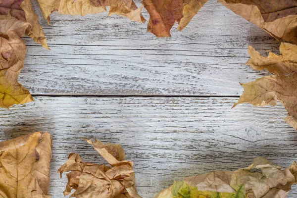 Folhas de outono secas na mesa de madeira — Fotografia de Stock