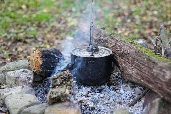 Cauldron on fire in forest