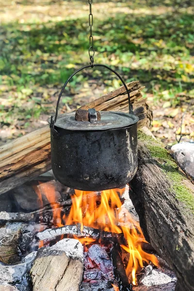 Cauldron on fire in forest