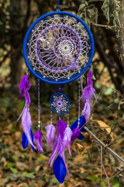 Tüy, deri, boncuk ve ipleri yapılmış Dreamcatcher