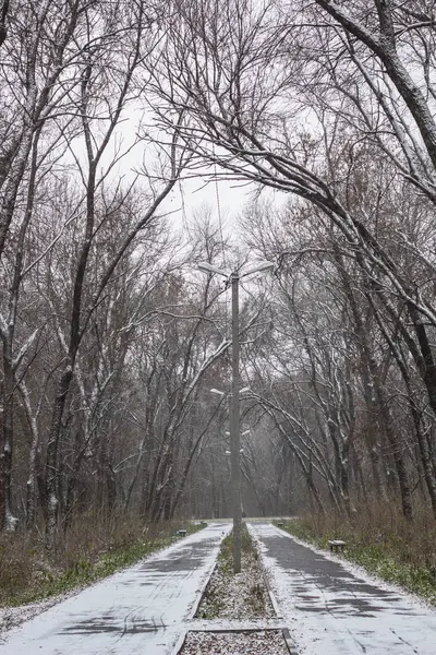 Kış sokağa donmuş ağaçlar arasında — Stok fotoğraf