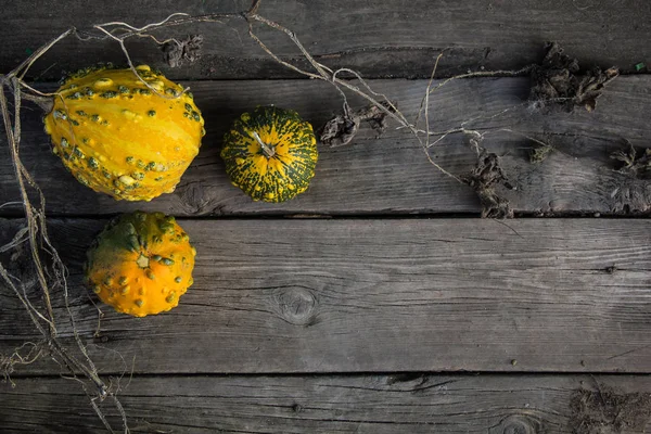 Nature morte avec des citrouilles d'automne sur une vieille table en bois — Photo