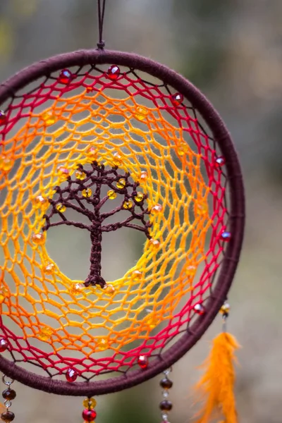 Dreamcatcher készült kötelek, gyöngyök, tollak, bőr — Stock Fotó