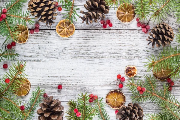 Vánoční větve s kužely Kalina bobule a suché citron — Stock fotografie