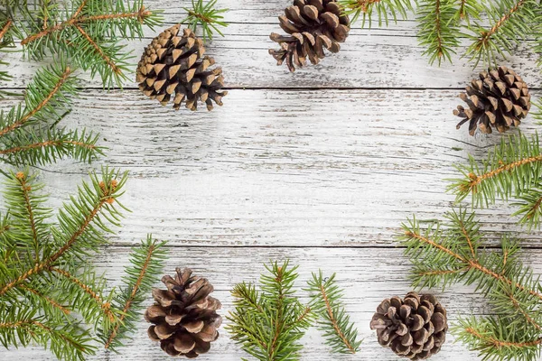 Vánoční jedle větví s kužely — Stock fotografie