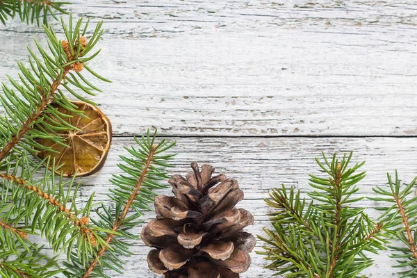 Vánoční jedle větví s kužely a suché citron — Stock fotografie