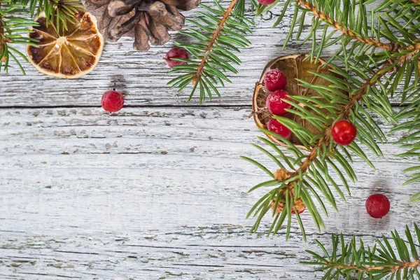 Christmas grenar med kottar viburnum bär och torr citron skiva — Stockfoto