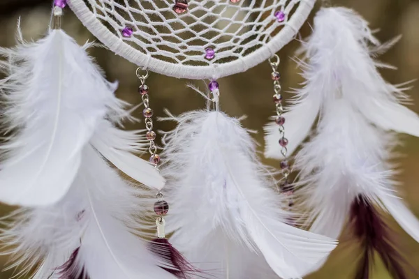 Dreamcatcher en plumes, cuir, perles et cordes — Photo