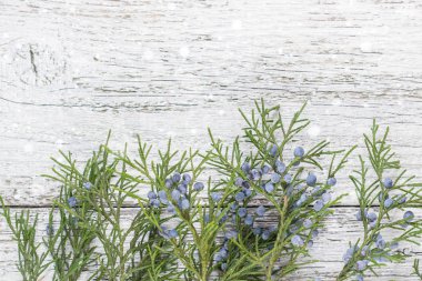 Mazı (bitki) dal kopya alanı ile ahşap arka plan üzerinde