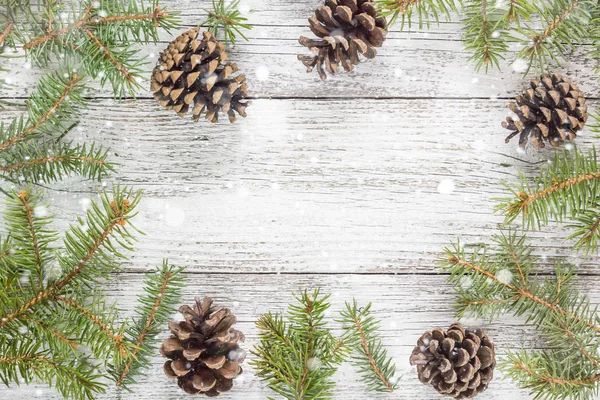 Ramas de abeto de Navidad con conos — Foto de Stock